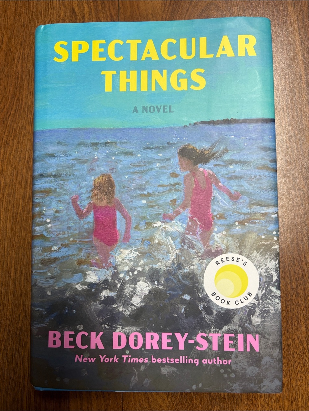 Spectacular things book by Beck Dorey-Stein. Great condition.